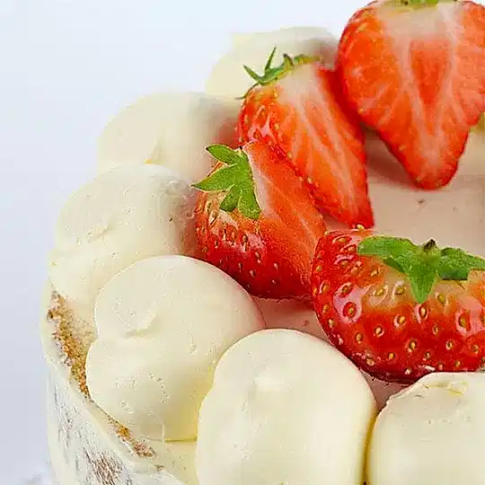 Semi-Naked Classic Vanilla Cake